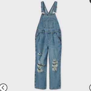 Wild fable overalls!